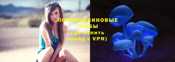 ПСИЛОЦИБИНОВЫЕ ГРИБЫ Белоозёрский