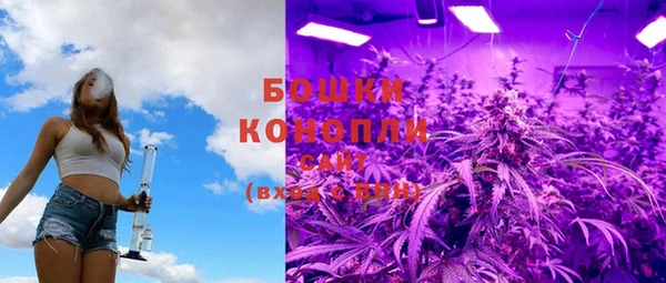 крисы Белокуриха