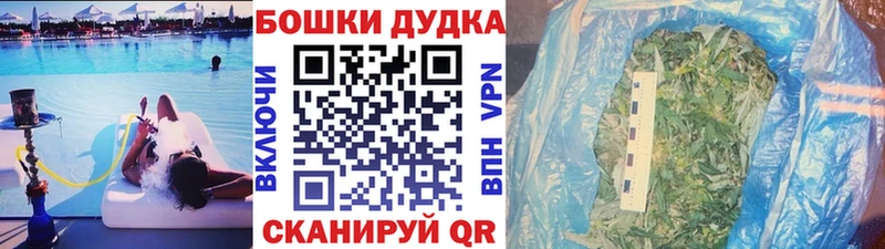 Бошки Шишки план  Карпинск 